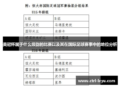 美冠杯属于什么级别的比赛以及其在国际足球赛事中的地位分析