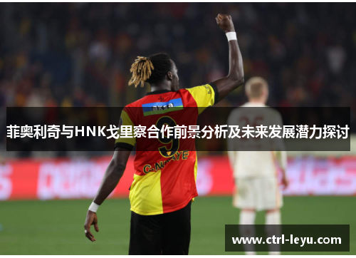 菲奥利奇与HNK戈里察合作前景分析及未来发展潜力探讨