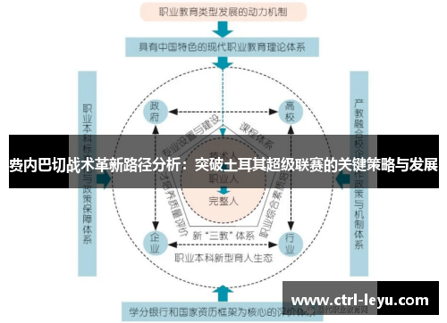 费内巴切战术革新路径分析：突破土耳其超级联赛的关键策略与发展